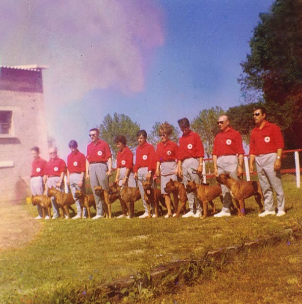 Les amis du Boxer *