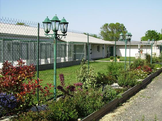 Pension chien et chat La Rochelle, Lagord, Dompierre - Charente maritime 17*