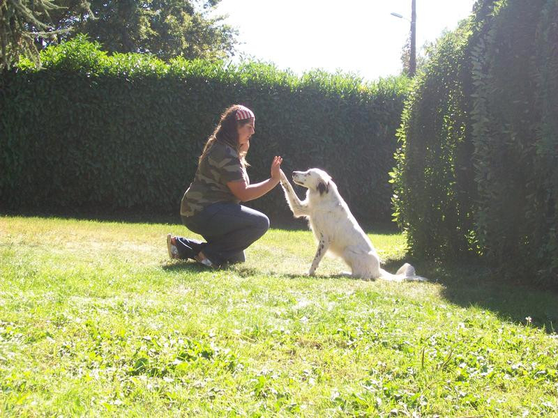 A PAS DE LOUPS Education Canine*