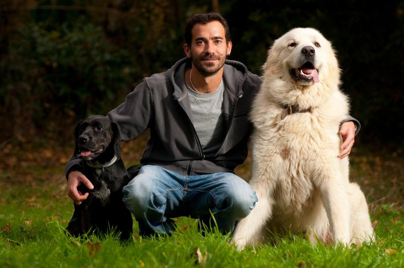 O PIED Educateur comportementaliste canin dans la Vienne*