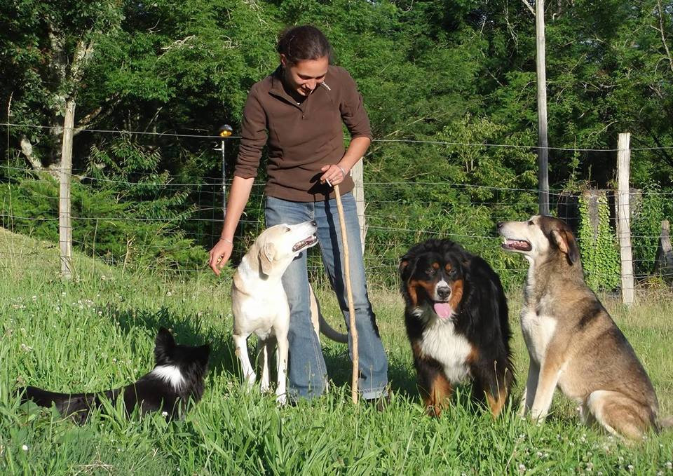 L ADRESSE DU CHIEN education et pension*