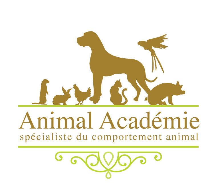 ANIMAL ACADEMIE Spécialiste du comportement animal