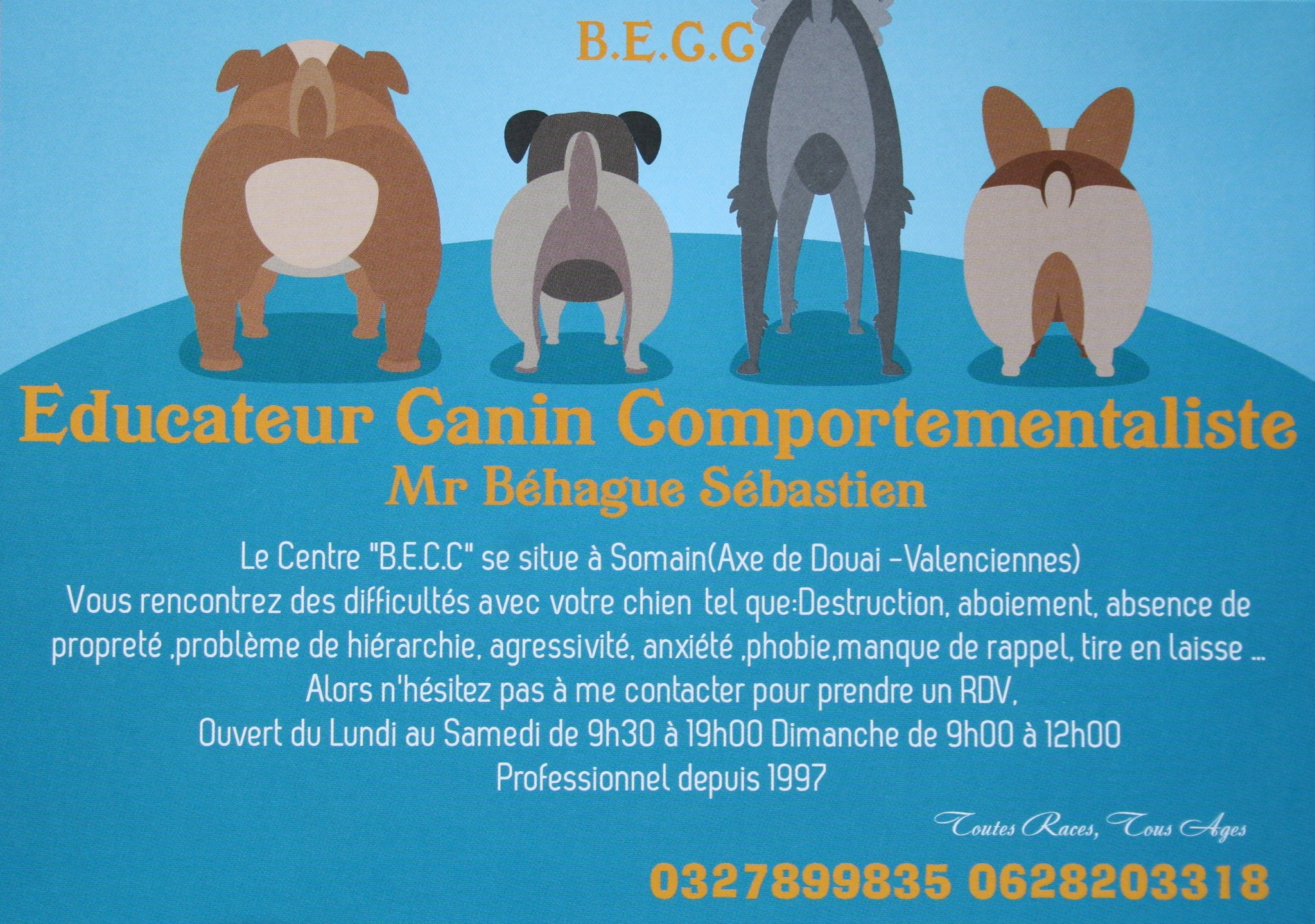 Elevage DEL CAMINO DEL ORO BLANCO dog argentin carlin