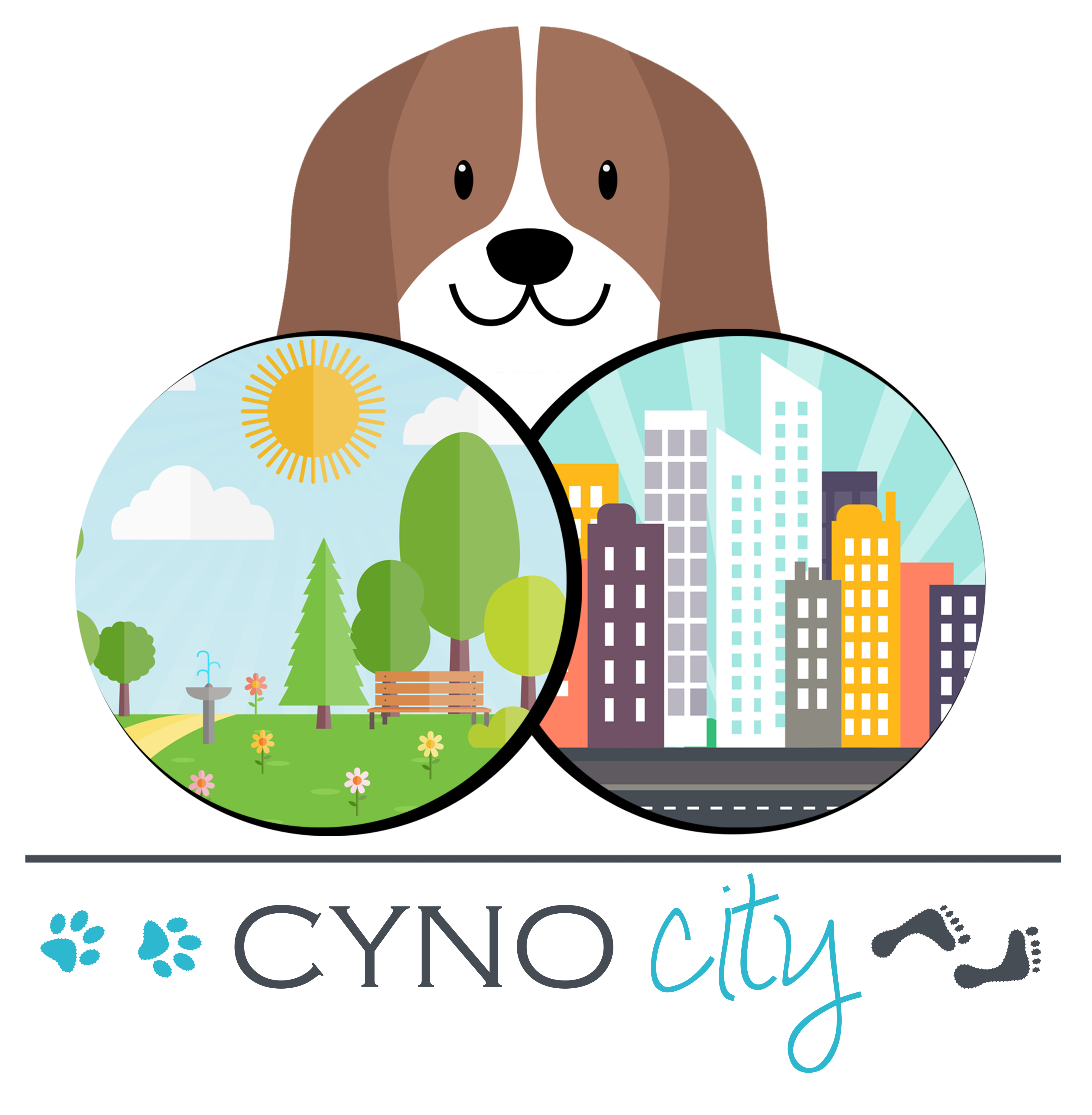 CYNOCITY réeducation comportementale loisirs canins