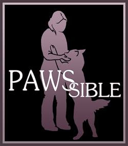 Educateur comportementaliste PAWSSIBLE EDUCATION