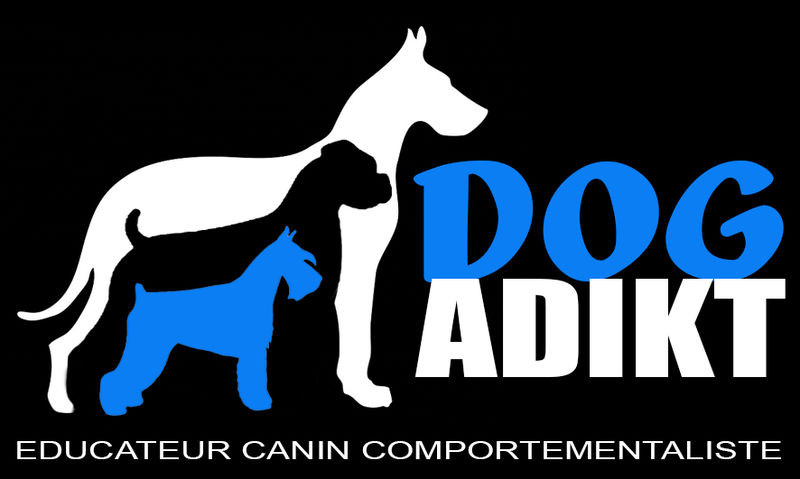 DOGADIKT éducateur canin manche*