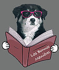 EDUCATEUR CANIN OISE conseil en comportement*