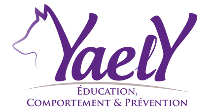 YAELY Education, Comportement & Prévention Canin*