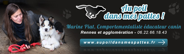 AU POIL DANS MES PATTES Educateur Comportementaliste Marine Piat*