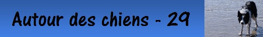 AUTOUR DES CHIENS comportementaliste Morgan ROLLAND*