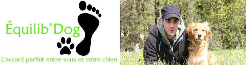 EQUILIB DOG educateur comportementaliste canin*