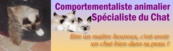 MARIE HELENE BONNET Comportementaliste animalier - Spécialiste du Chat