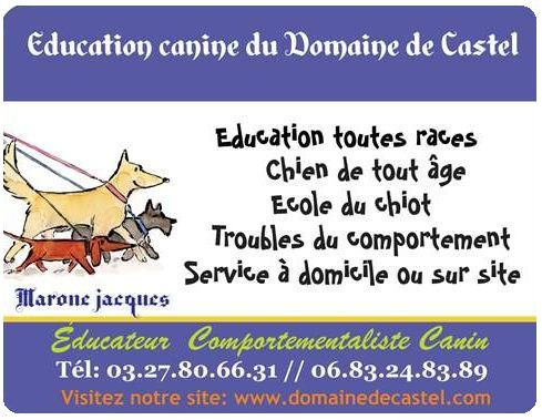 DOMAINE DE CASTEL Jacques MARONE Éducateur Comportementaliste Canin