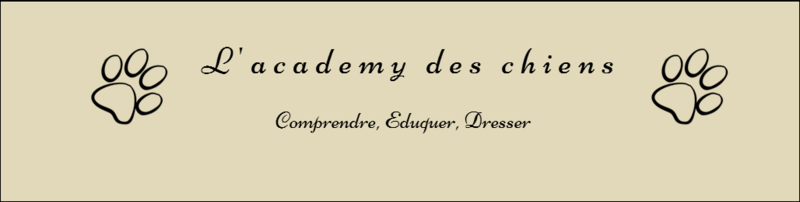 L ACADEMY DES CHIENS educateur canin pension canine*