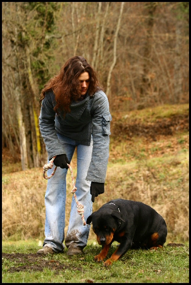 EDUC TON TOUTOU NOLWEN BELLIER Education canine Troubles du comportement*