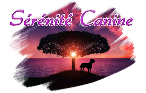 SERENITE CANINE educateur comportementaliste