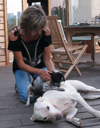 DANIE PERRENOT Educateur canin comportementaliste LODEVE *