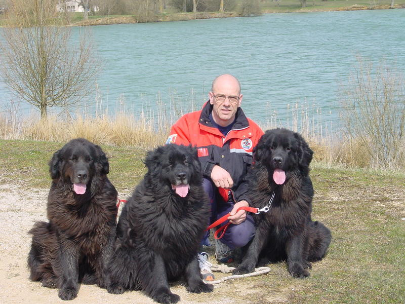 CANI LORRAINE Educateur canin Comportementaliste *