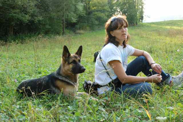 TECHNI CHIEN éducation canine conseil en comportement*