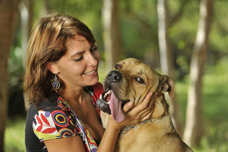 Educateur canin ile de la reunion CHAM EDUC