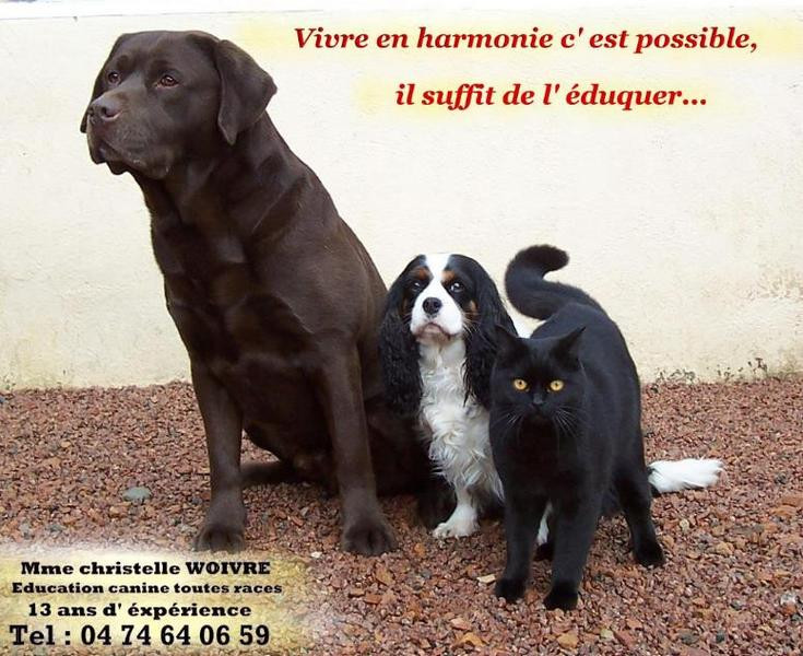 CHRISTELLE WOIVRE Educatrice canin comportementaliste *