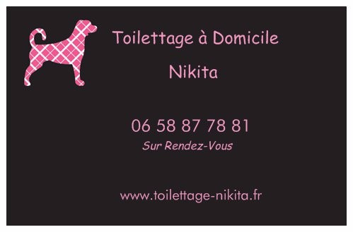 NIKITA toilettage a domicile, educateur comportementaliste