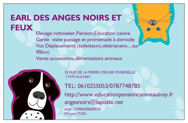 Elevage des ANGES NOIRS ET FEUX et service à domicile