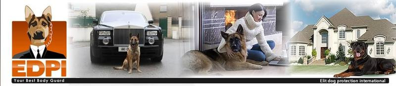 EDPI ELITE DOG éducation canine Paris *