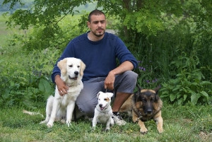 L'ECOLE DES P'TITS LOUPS Dressage canin chateauneuf du faou et centre finistere