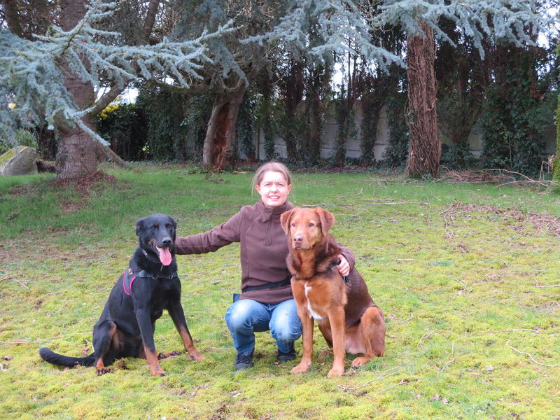 BREIZH ANIMAUX Educateur canin