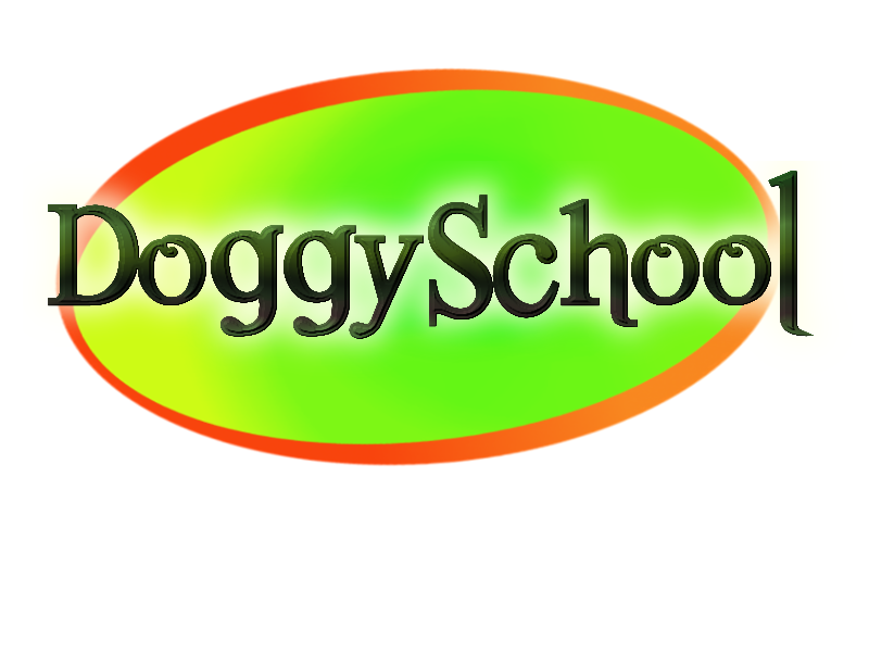 DOGGY SCHOOL Caroline RUOTTE Educateur Canin Comportementaliste à domicile