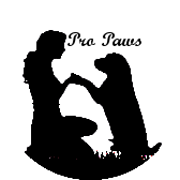 PRO PAWS Claire Chaillou éducateur canin*