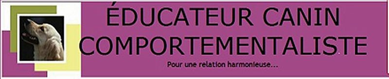 AURELIE LE GOUSSE Educateur et comportementaliste canin à domicile*