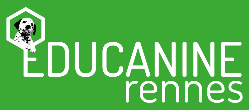 EDUCANINE RENNES education canine et sprot canin