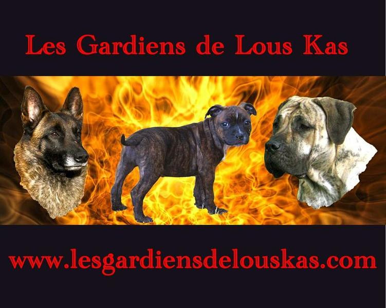 Elevage LES GARDIENS DE LOUS KAS *