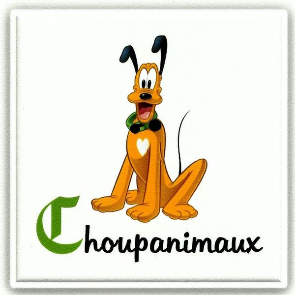 CHOUPANIMAUX garde a domicile, pension canine familiale*