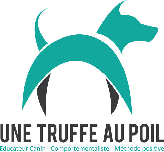 UNE TRUFFE AU POIL Education canine positive et amicale*