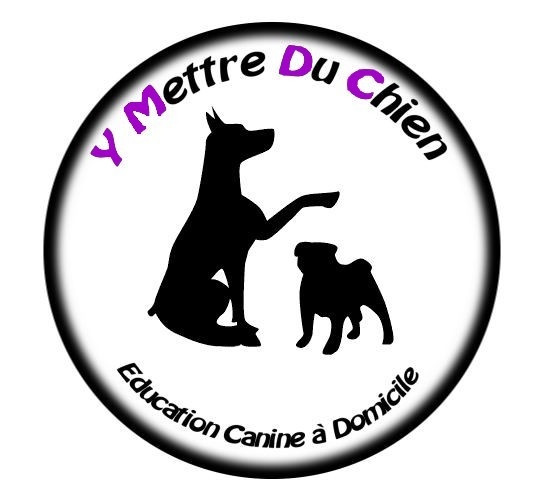 Y Mettre Du Chien éducation canine à domicile *