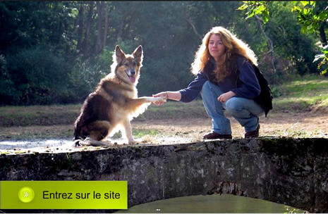 EDUCATION CANINE.FR Julia DEUBEL éducation et comportement canin*