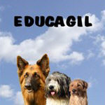 EDUCAGIL Dressage éducateur canin Comportementaliste *