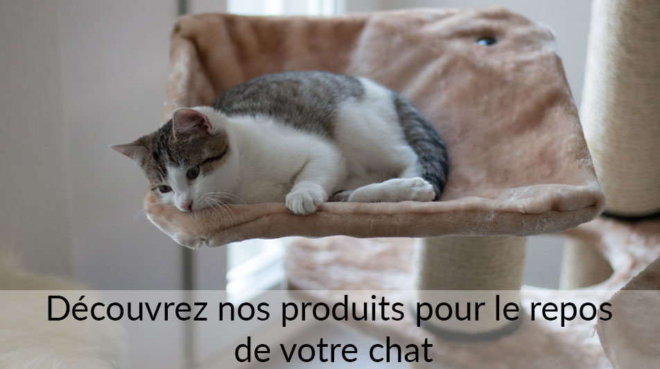 Arbre A Chat Perchoir Panier Et Griffoir Pour Chat