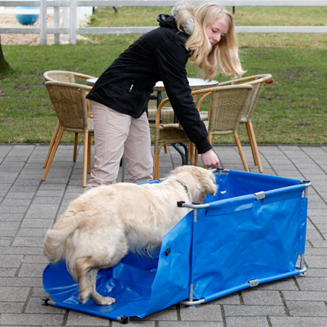 Baignoire Portative Repliable Pour La Douche Du Chien