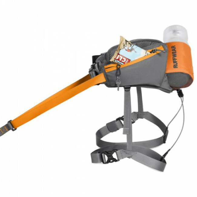 Attache pour Chat Koojawind Ceinture De S/éCurit/é pour Chien Ceinture De S/éCurit/é pour V/éHicule S/éCurit/é pour Chien Harnais R/éGlable p Ceinture De S/éCurit/é pour V/éHicule Neuf