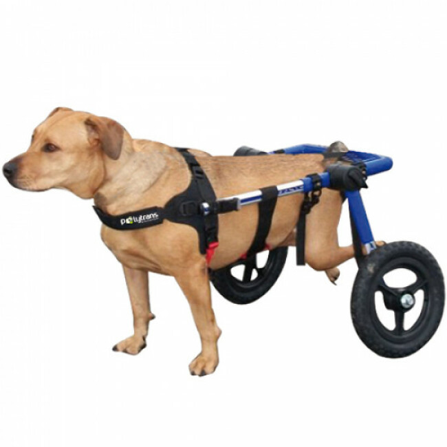 Chariot CanisCart Liberty pour chiens handicapés