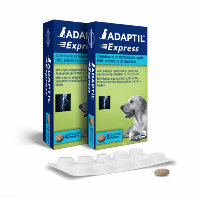 Comprimés Adaptil Express Ceva anti stress chien