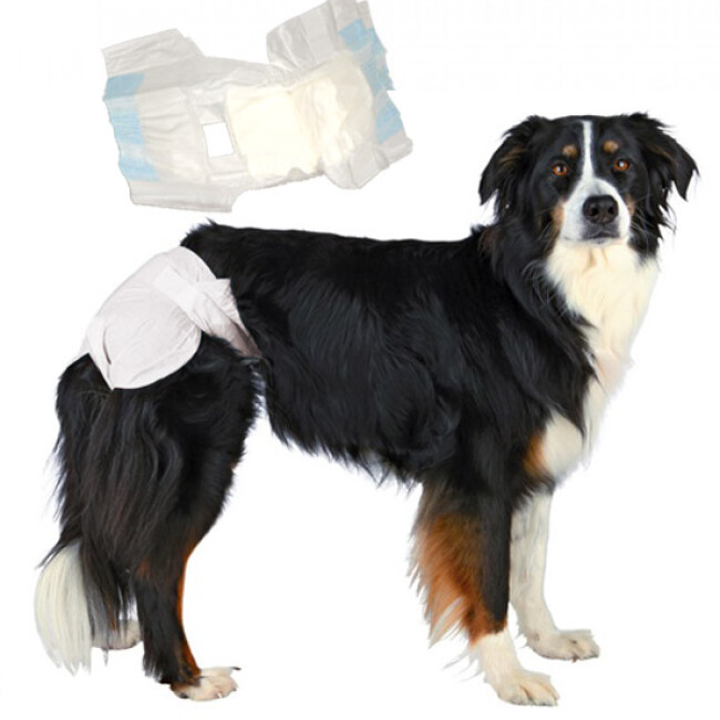 3pcs Couches Chien Femelle Culottes Hygienique Lavable Reutilisable Souffrant D Incontinence Pipi Protection Prevenir Harcelement Xl Achat Vente Couche Chaleurs 3pcs Couches Chien Femelle Cdiscount