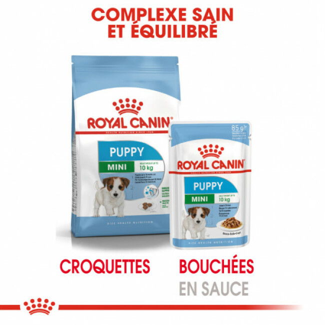 Croquettes Mini Junior pour chiot Royal Canin