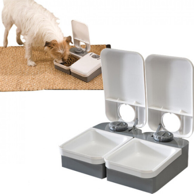 جوهر قاحل ماراثون Gamelle Automatique Chien Sjvbca Org