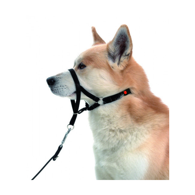 Harnais De Dressage Easy Leader