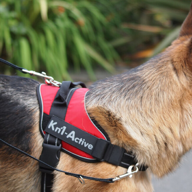 Pendentif Chien LED Harnais Chien r/éfl/échissant r/églable sans Traction Harnais dext/érieur Harnais de Dressage pour Animal Harnais Veste Classiques Convient aux Chiens de Taille Moyenne et Grande